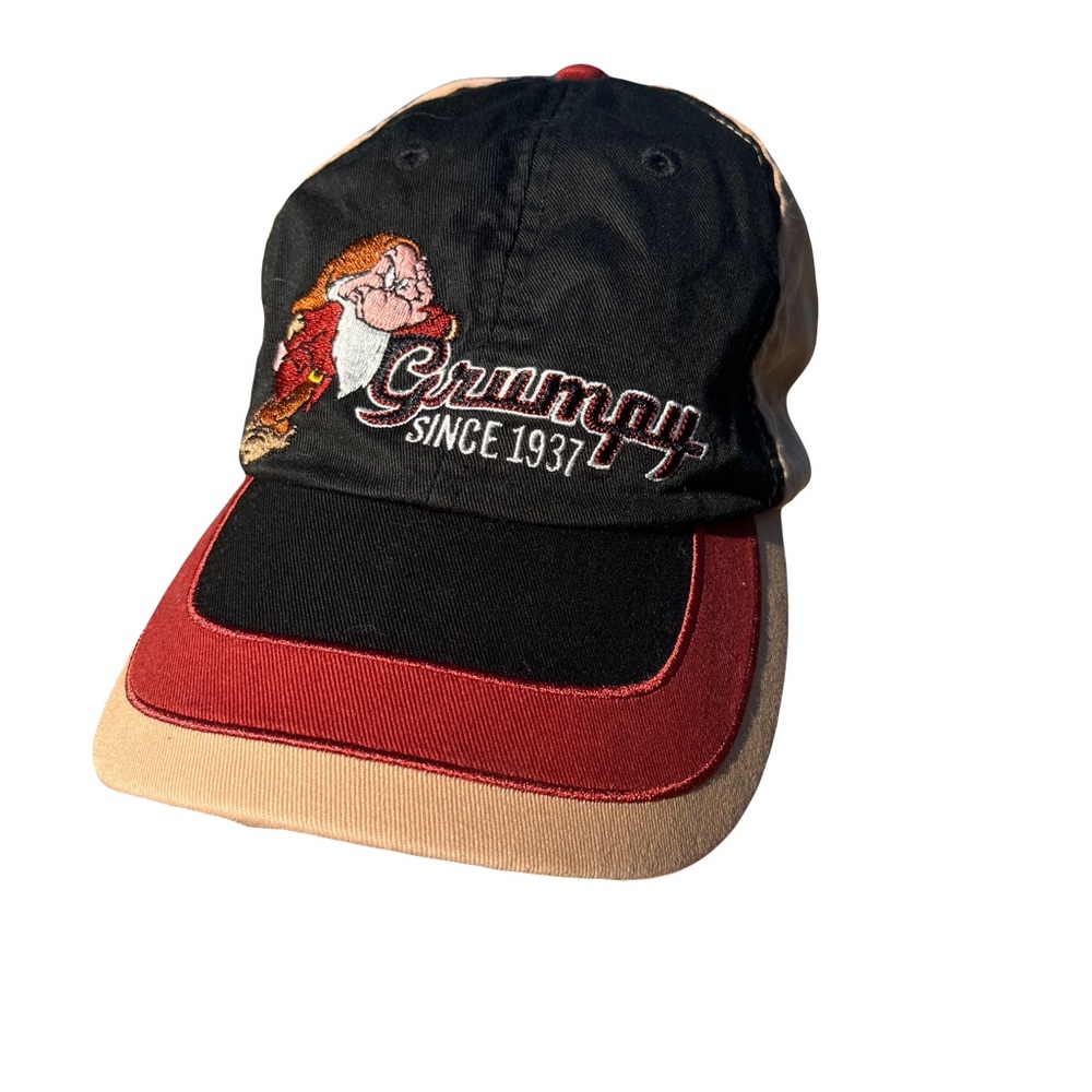 Disney embroidered dad hat 💫